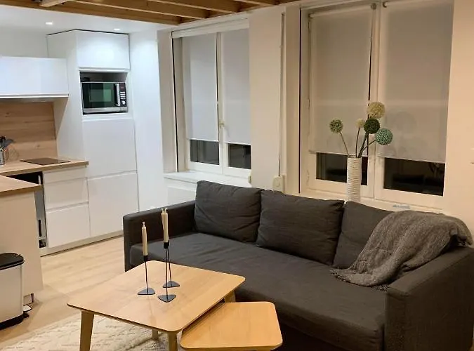 Duplex Vieux Lille